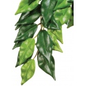 EXO TERRA hanging plant Ficus 45cm